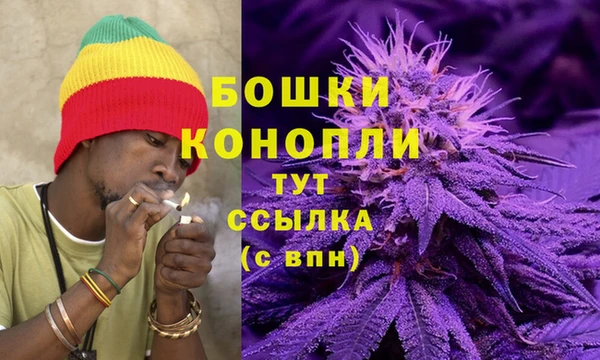прущий лед Лагань
